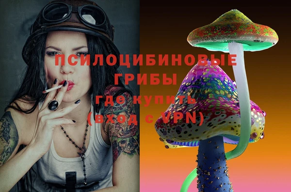 бутират Каменка