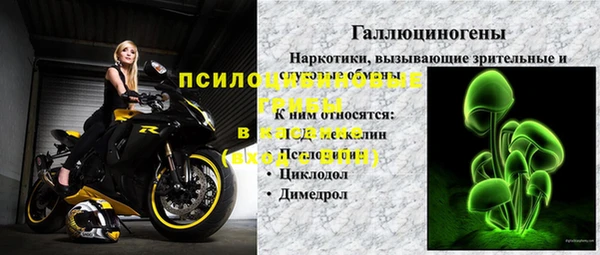гидропоника Кодинск