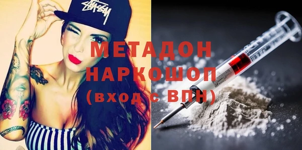 индика Инсар